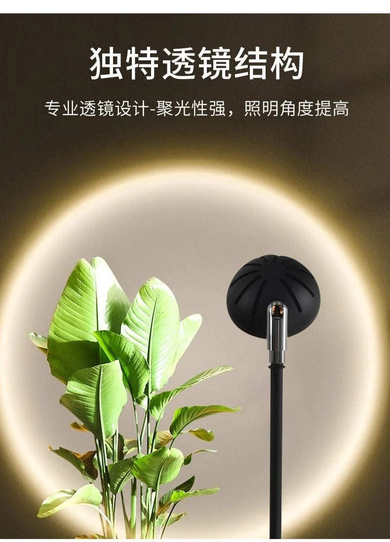 Nordic Red Tall Cob Floor Lamp - Adjustable Height & Angle for Eye-Protection Ambient Lighting in Your Home