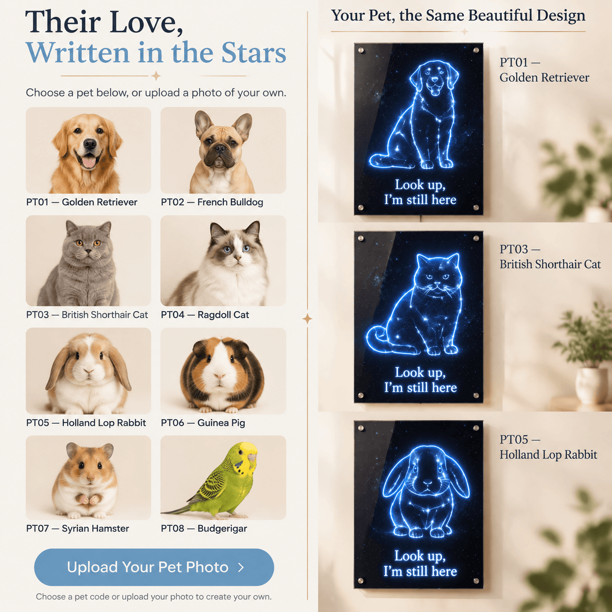 Custom pet memorial constellation LED sign guide Step 1: Choose a pet breed or upload your own pet photo for a personalized celestial pet art sign.