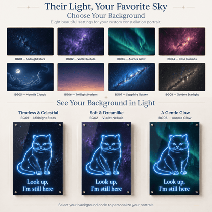 Custom pet memorial constellation portrait ordering guide Step 3 choose background options showing celestial and galaxy sky themes.