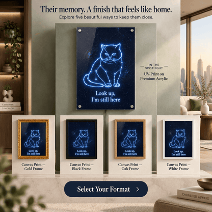 Step 4 ordering guide showing custom pet memorial formats: UV-print acrylic sign and framed canvas prints in gold, black, oak, and white frames.