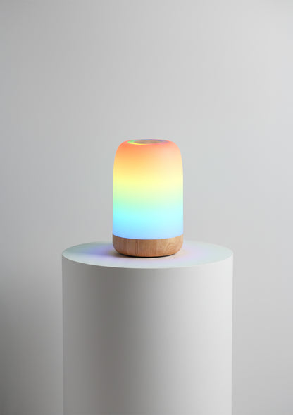 LED Touch Lamp RGB Dimmable Wood Grain Night Light USB