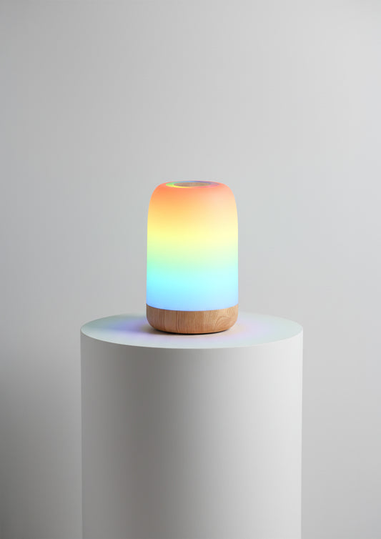 LED Touch Lamp RGB Dimmable Wood Grain Night Light USB